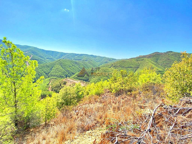 Инвестиционное предложение - участок земли в пригороде города Аланья, 2660 м2 - Ракурс 9