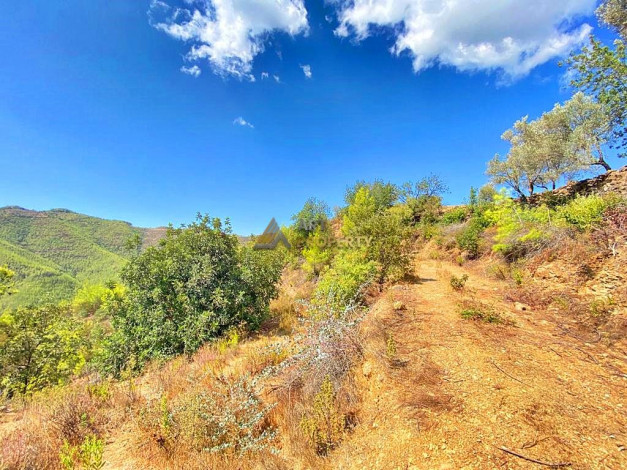 Инвестиционное предложение - участок земли в пригороде города Аланья, 2660 м2 - Ракурс 10