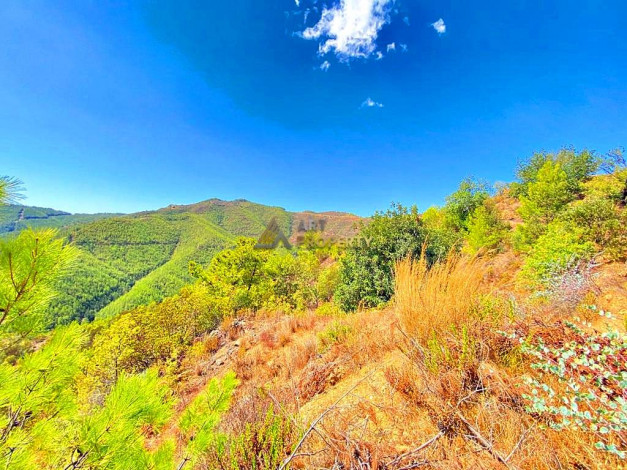 Инвестиционное предложение - участок земли в пригороде города Аланья, 2660 м2 - Ракурс 11