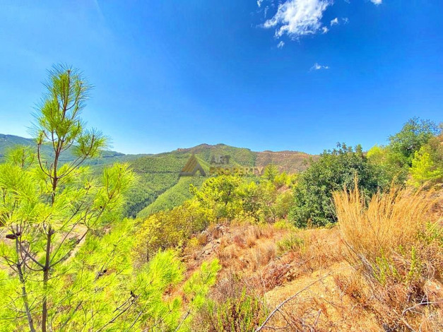 Инвестиционное предложение - участок земли в пригороде города Аланья, 2660 м2 - Ракурс 12