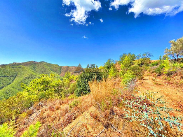 Инвестиционное предложение - участок земли в пригороде города Аланья, 2660 м2 - Ракурс 13