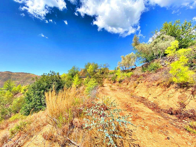 Инвестиционное предложение - участок земли в пригороде города Аланья, 2660 м2 - Ракурс 14