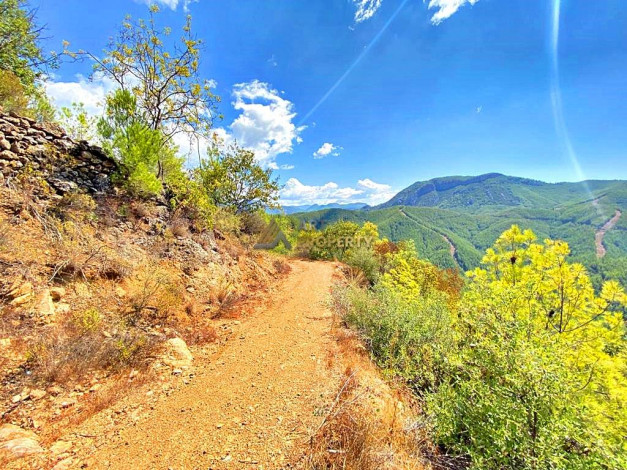 Инвестиционное предложение - участок земли в пригороде города Аланья, 2660 м2 - Ракурс 15