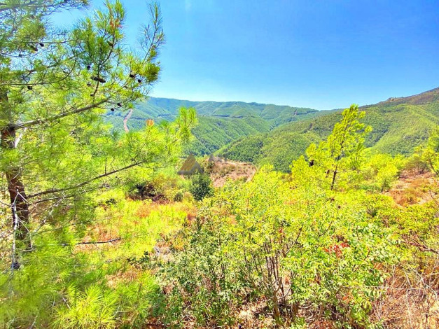 Инвестиционное предложение - участок земли в пригороде города Аланья, 2660 м2 - Ракурс 16