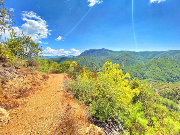 Инвестиционное предложение - участок земли в пригороде города Аланья, 2660 м2 - Ракурс 17