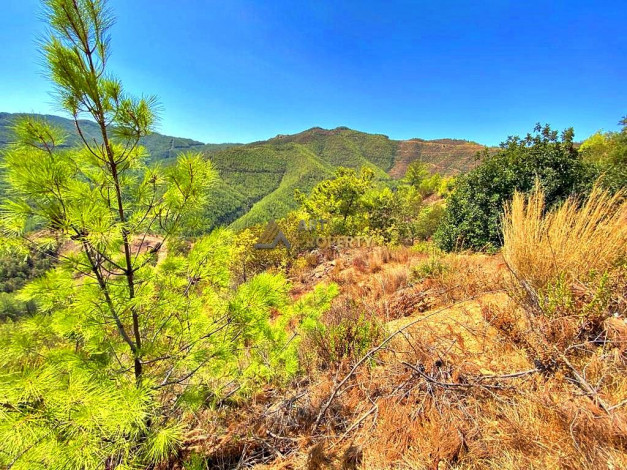 Инвестиционное предложение - участок земли в пригороде города Аланья, 2660 м2 - Ракурс 19