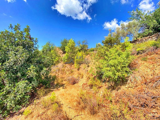 Инвестиционное предложение - участок земли в пригороде города Аланья, 2660 м2 - Ракурс 20