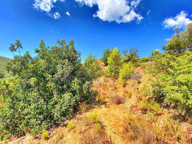 Инвестиционное предложение - участок земли в пригороде города Аланья, 2660 м2 - Ракурс 21