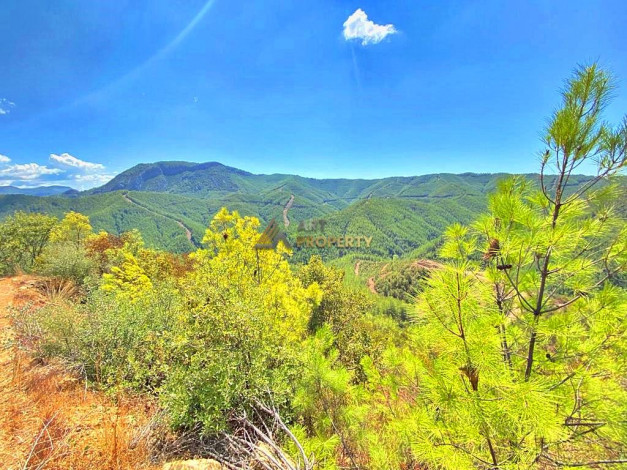 Инвестиционное предложение - участок земли в пригороде города Аланья, 2660 м2 - Ракурс 22