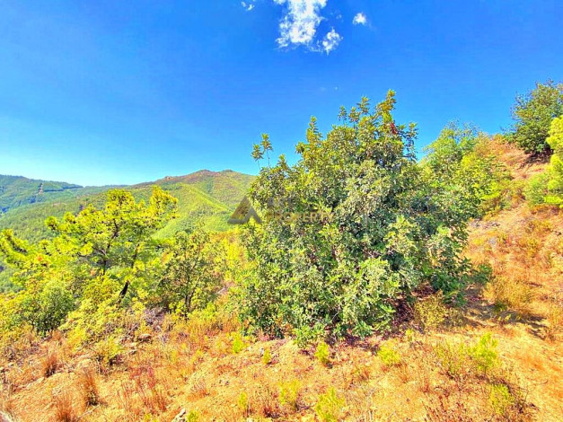 Инвестиционное предложение - участок земли в пригороде города Аланья, 2660 м2 - Ракурс 23