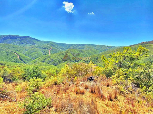 Инвестиционное предложение - участок земли в пригороде города Аланья, 2660 м2 - Ракурс 24