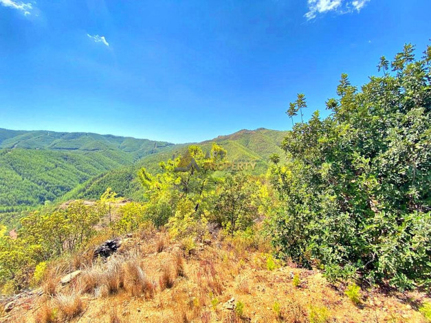 Инвестиционное предложение - участок земли в пригороде города Аланья, 2660 м2 - Ракурс 25