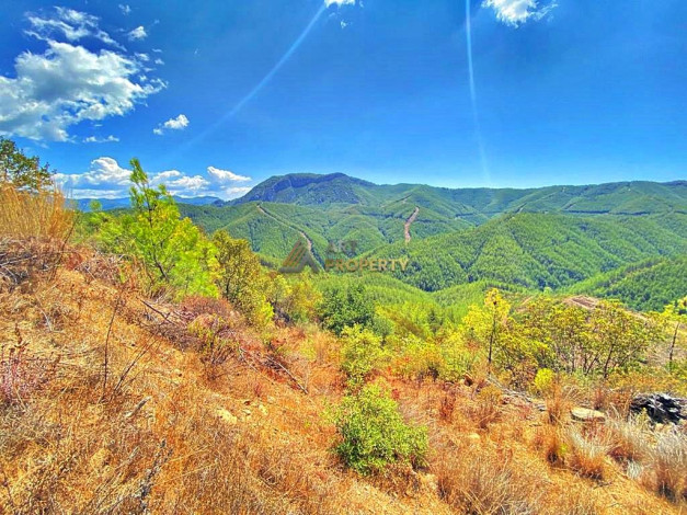 Инвестиционное предложение - участок земли в пригороде города Аланья, 2660 м2 - Ракурс 26