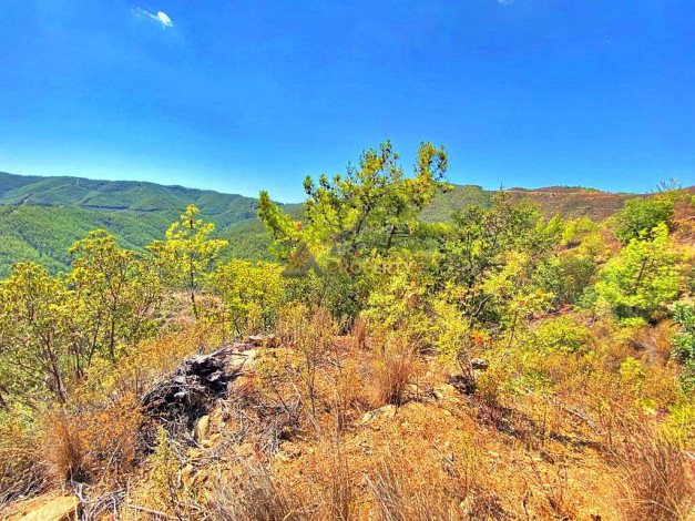 Инвестиционное предложение - участок земли в пригороде города Аланья, 2660 м2 - Ракурс 27