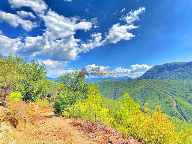 Инвестиционное предложение - участок земли в пригороде города Аланья, 2660 м2 - Ракурс 30