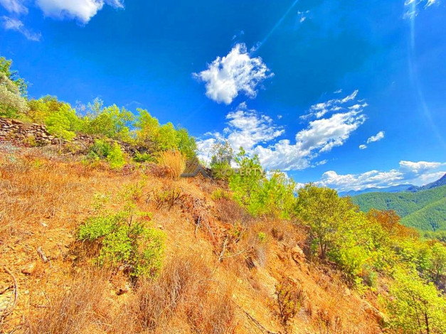 Инвестиционное предложение - участок земли в пригороде города Аланья, 2660 м2 - Ракурс 31