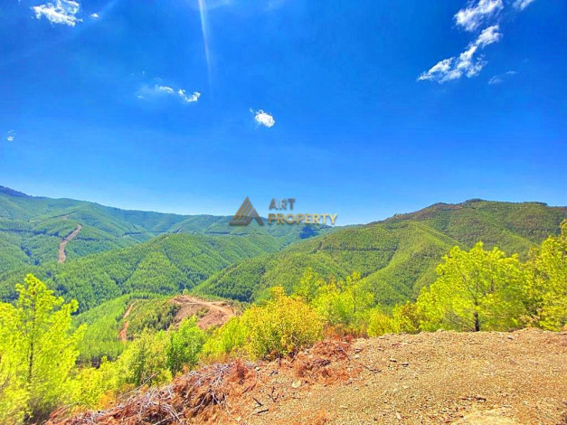 Инвестиционное предложение - участок земли в пригороде города Аланья, 2660 м2 - Ракурс 32