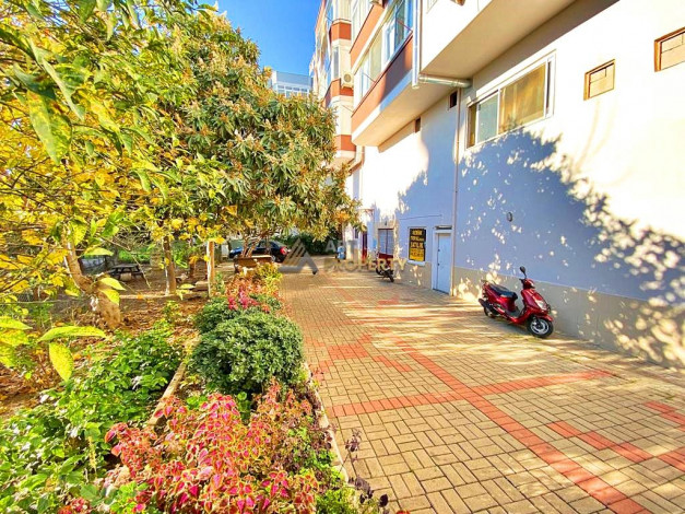 Небольшое коммерческое помещение в центре города Аланья, 20 м2 - Ракурс 3