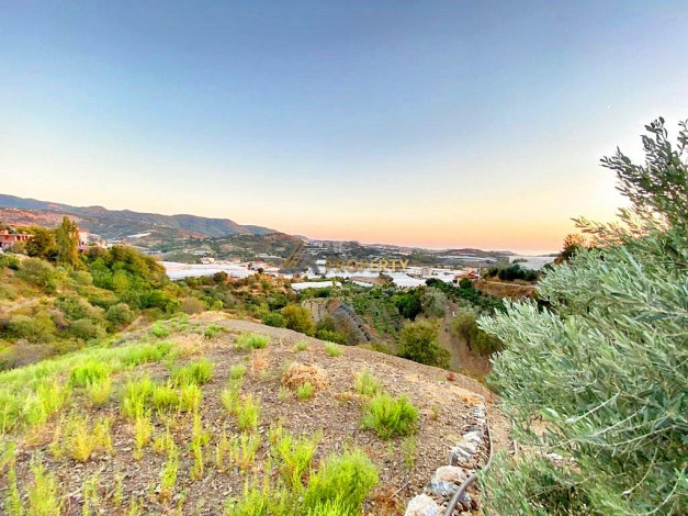 Просторный участок земли с видом на море и горы в Аланье, 540 м2 - Ракурс 22