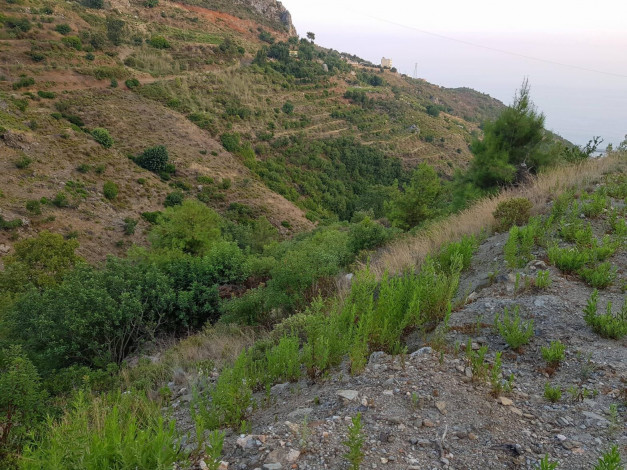 Участок земли с видом на море под строительство дома в центральной части Аланьи, 1700 м2 - Ракурс 5