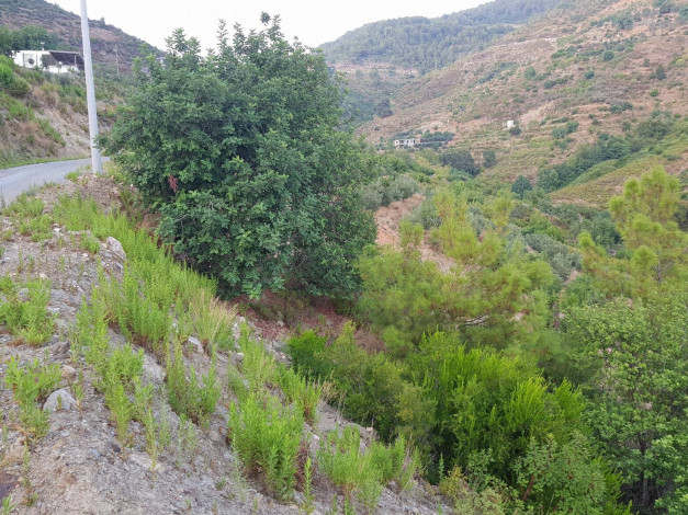 Участок земли с видом на море под строительство дома в центральной части Аланьи, 1700 м2 - Ракурс 13