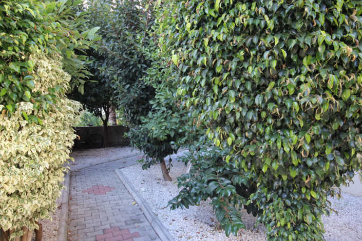 Всего в 100 метрах от Средиземного моря меблированные апартаменты 1+1, 55 м2 - Ракурс 18