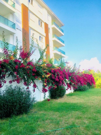 Горячее предложение! Трехкомнатной квартиры в Окурджалар. - Ракурс 2