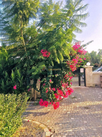 Горячее предложение! Трехкомнатной квартиры в Окурджалар. - Ракурс 3