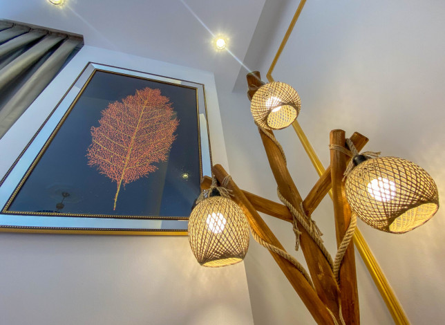 Шикарный меблированный дуплекс в районе Оба - Ракурс 21