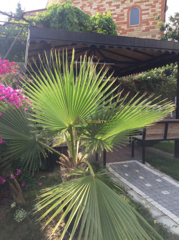 Меблированная квартира планировки 1+1, 58м2 в районе Махмутлар - Ракурс 98