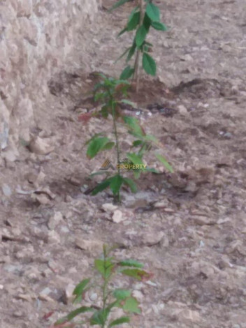 Уютный домик планировки 2+1, 125м2 в районе верхней Обы - Ракурс 4