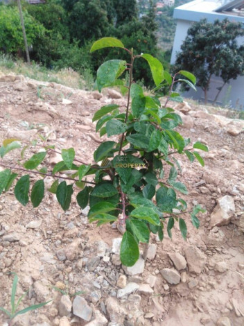 Уютный домик планировки 2+1, 125м2 в районе верхней Обы - Ракурс 8