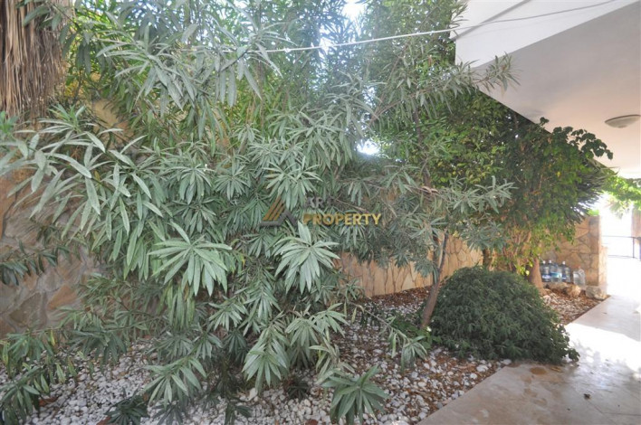 Вилла планировки 3+1, 280м2 с видом на море в районе Джикджилли - Ракурс 6