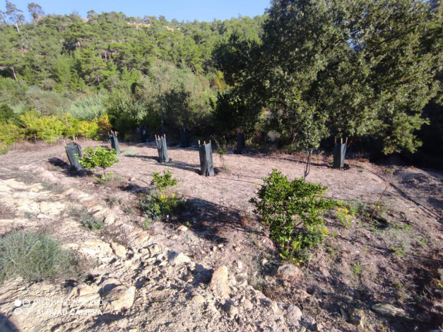 Участок земли площадью 2480м2 - Ракурс 9