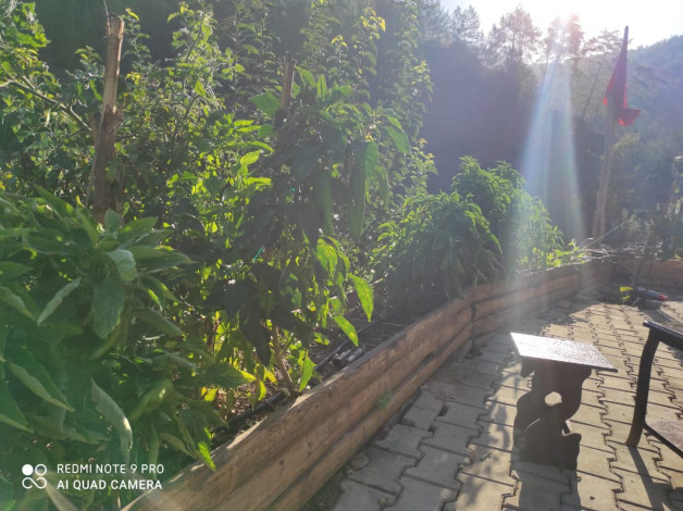 Участок земли площадью 2480м2 - Ракурс 11