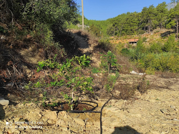 Участок земли площадью 2480м2 - Ракурс 15