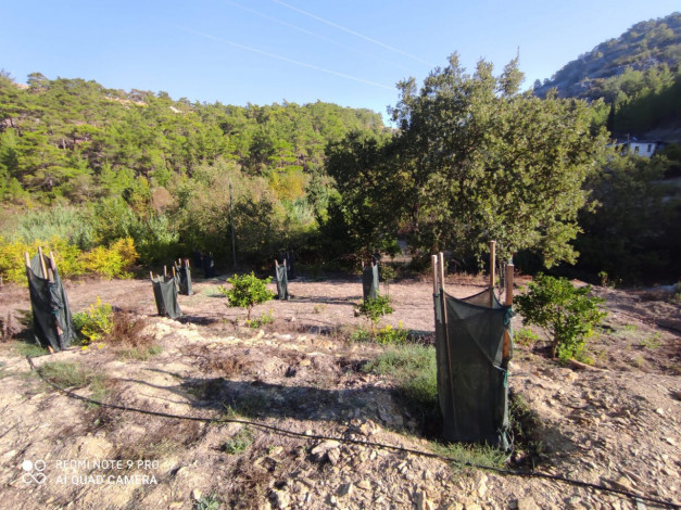 Участок земли площадью 2480м2 - Ракурс 19