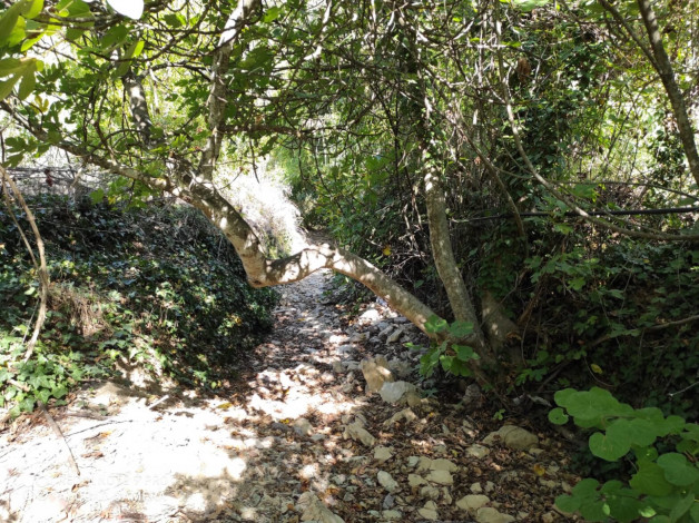 Участок земли площадью 2480м2 - Ракурс 23