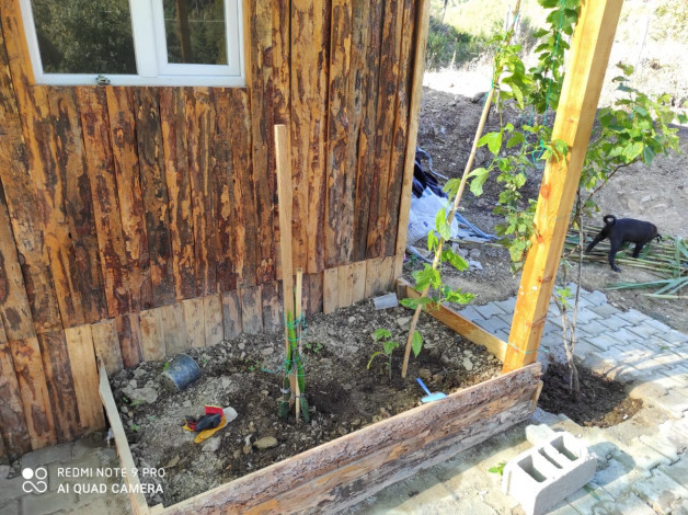 Участок земли площадью 2480м2 - Ракурс 25