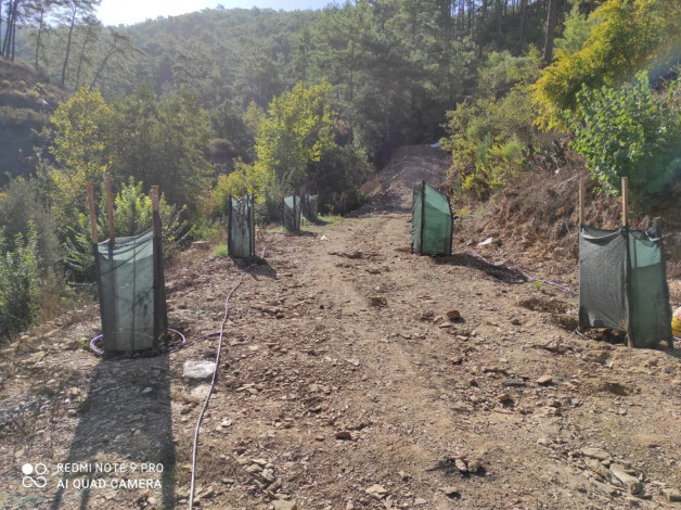 Участок земли площадью 2480м2 - Ракурс 28