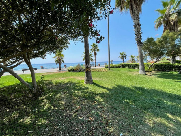 Две квартиры планировки 1+1, 55м2 в районе Клеопатры - Ракурс 10