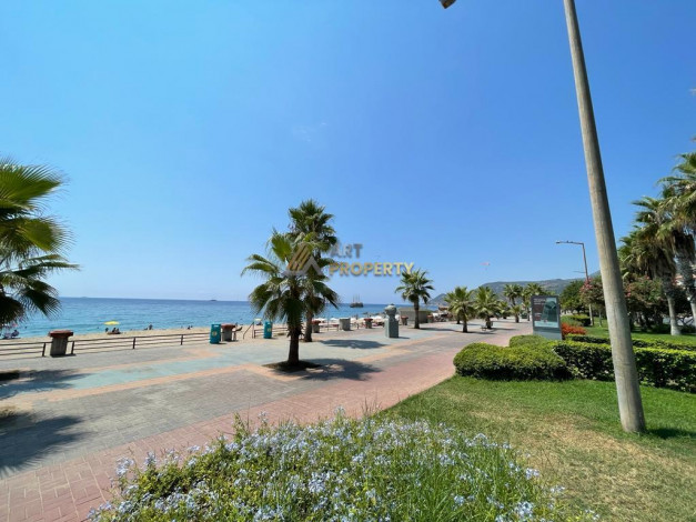 Две квартиры планировки 1+1, 55м2 в районе Клеопатры - Ракурс 16