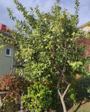 Уютная меблированная вилла в популярном жилом комплексе, район Каргыджак - Ракурс 4