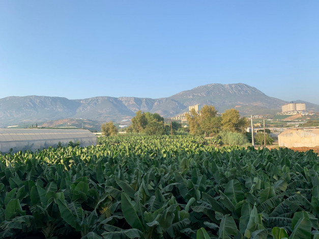 Квартира 1+1 в новом комплексе с развитой инфраструктурой в районе Каргыджак, 60 м2 - Ракурс 14