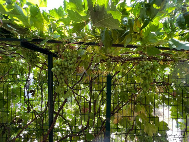 Уютная отдельно стоящая вилла планировки 5+2 в центральной части города Аланья - Ракурс 48