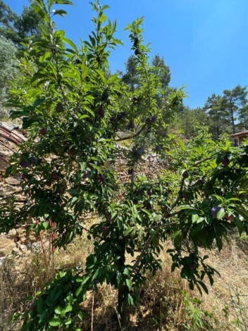 Уютная отдельно стоящая вилла планировки 5+2 в центральной части города Аланья - Ракурс 51