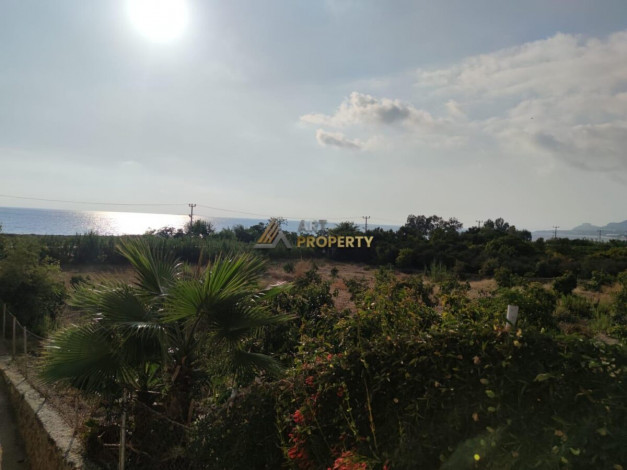 Две меблированные виллы в районе Демирташ - Ракурс 60