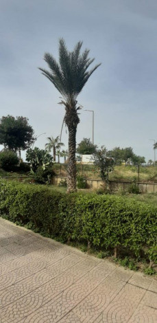 Четырехкомнатная квартира в 50 метрах от моря в районе Оба, 130 м2 - Ракурс 3