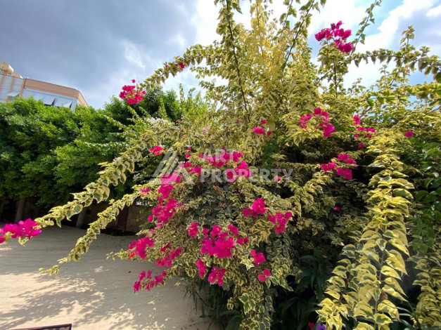 Меблированные апартаменты планировки 3+1, 150м2 в центре Аланьи - Ракурс 13