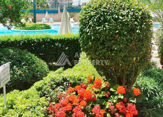 Апартаменты 1+0, 75м2, с большой террасой, в центральном районе Джикджилли - Ракурс 5